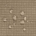 30527_91080