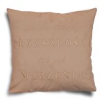 Poszewka POZYTYWNA HELSINKI VELVET haft 40x40 Beż
