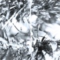 31286_91579