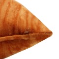 25776_80021