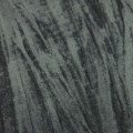 25772_100583