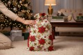 34304_100309