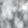 33831_101707